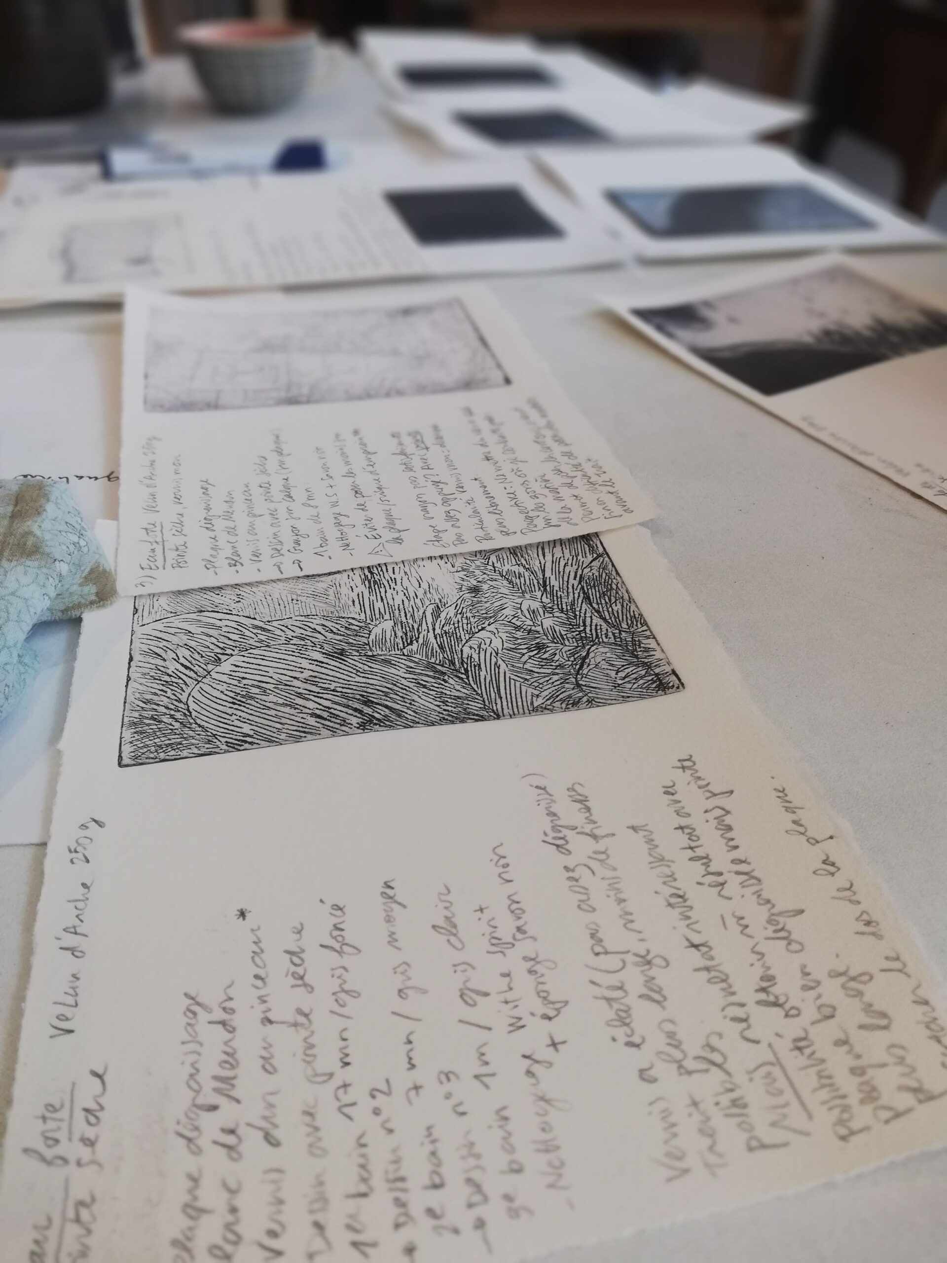 expérimentations tests